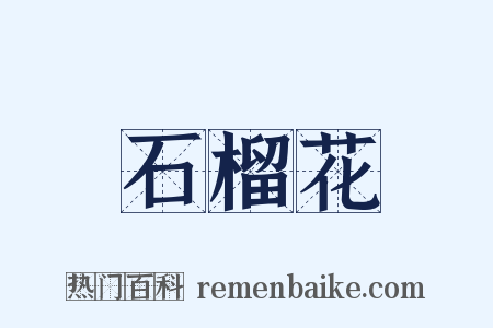 石榴花是什么意思的图片